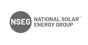 NSEG-logo